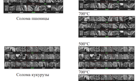 Сканирующая электронная микроскопия образцов биосорбентов из соломы пшеницы и кукурузы и биосорбентов, полученных из них при температурах 500ºС и 700ºС (время выдержки 60 мин., скорость нагрева, 10 ºС /мин).
